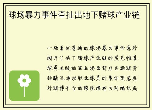 球场暴力事件牵扯出地下赌球产业链