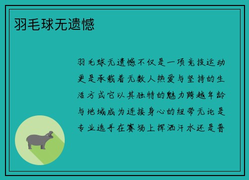 羽毛球无遗憾
