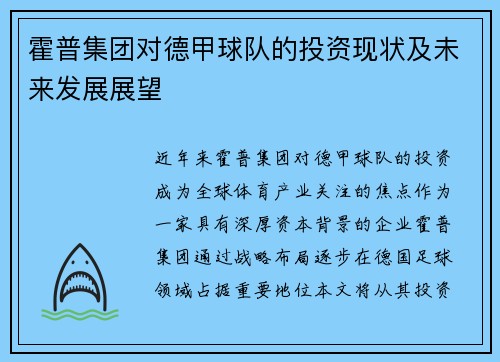 霍普集团对德甲球队的投资现状及未来发展展望